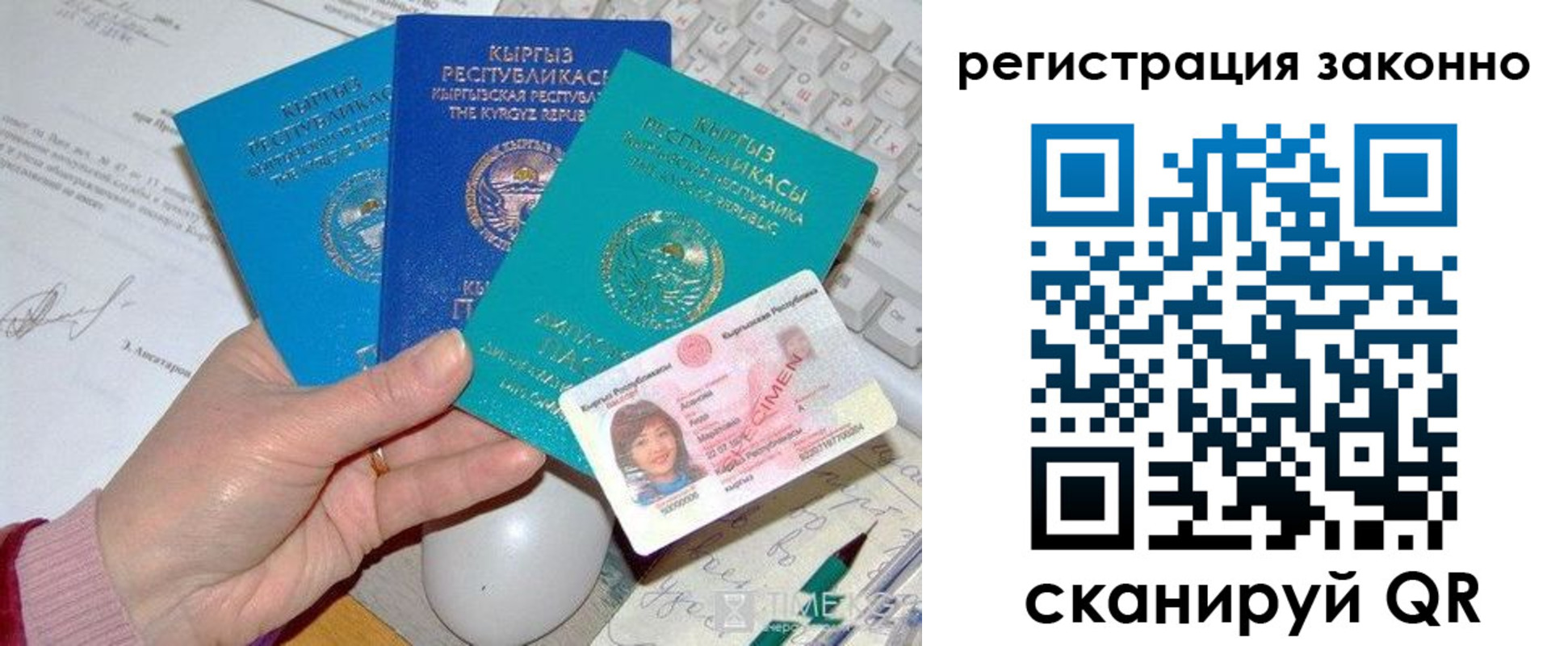 прописка для школы в Курганской области